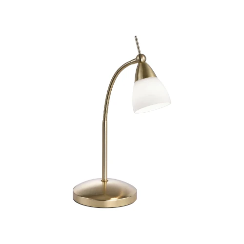 PINO lampa stołowa matowy mosiądz 4001-60
