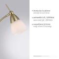 PINO lampa podłogowa matowy mosiądz 400-60 
